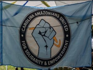 Light blue flag with fist holding Amazon logo.